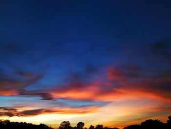 Low angle view of silhouette trees against dramatic sky