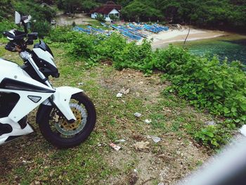 land vehicle