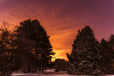 Silhouette trees against sky during sunset