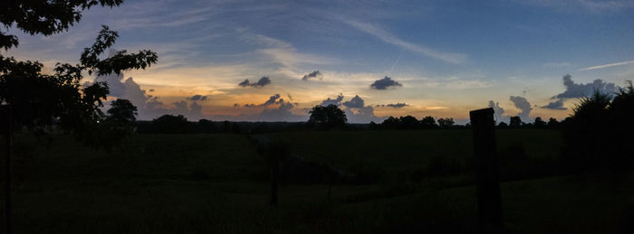Silhouette trees on field against sky at sunset