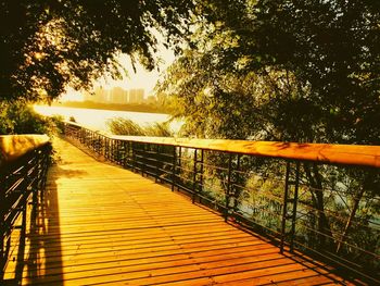 Walkway along trees