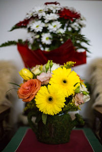 Close-up of yellow flowers in vase