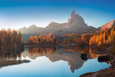 reflection