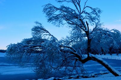 Snow covered landscape