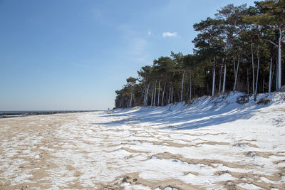 Scenic view of sea against sky during winter