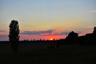 Silhouette trees on field against sky during sunset