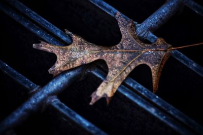 Close-up of rusty metal