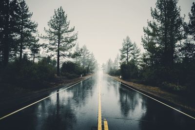 Wet road amidst trees against sky during rainy season