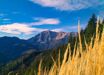 Scenic view of mountains against sky