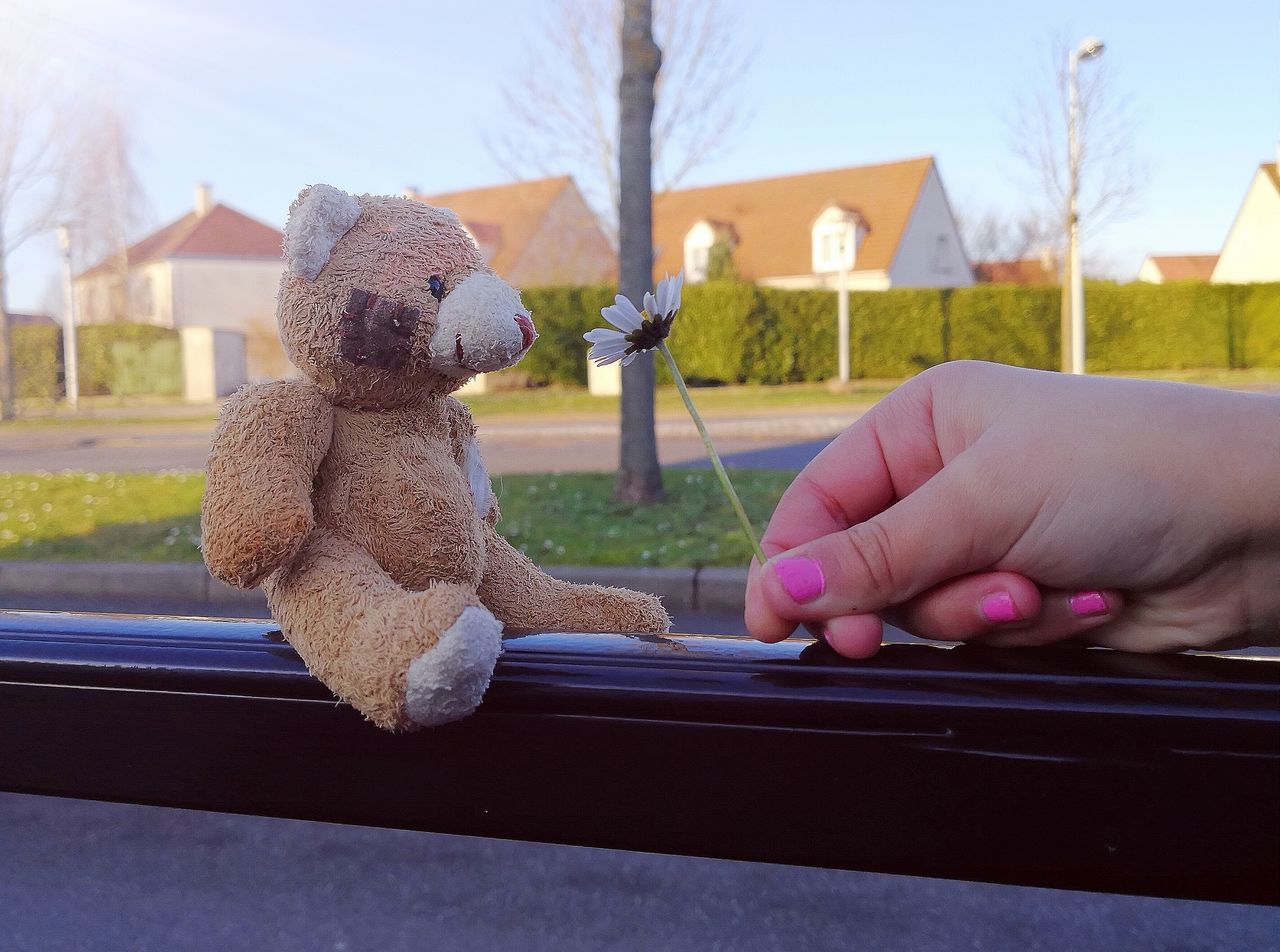 human hand, human body part, one person, stuffed toy, real people, teddy bear, toy, human finger, holding, day, architecture, leisure activity, lifestyles, built structure, outdoors, childhood, building exterior, sky, close-up, people