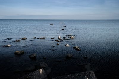 Scenic view of sea against sky