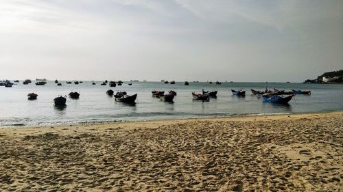 Group of boats near beach against sky