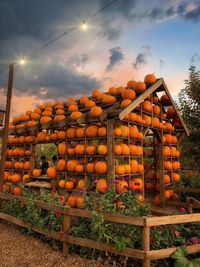 View of pumpkins against sky during sunset