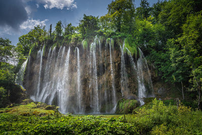 Scenic view of waterfall against trees in forest