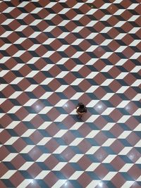 Full frame shot of tiled floor