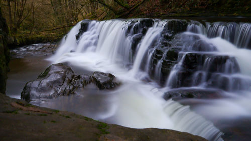 Scenic view of waterfall in forest