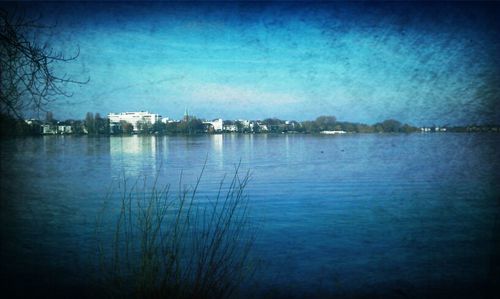 Reflection of trees in water