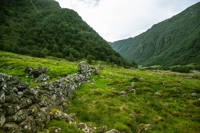 A beautiful green mountain valley near rosendal in norway. autumn landscape.