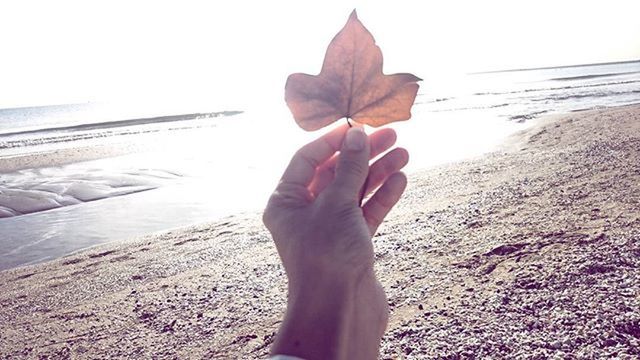 beach, person, sand, part of, personal perspective, shore, cropped, sea, holding, unrecognizable person, human finger, nature, water, lifestyles, sunlight, beauty in nature