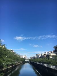 River in city against blue sky