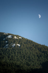Scenic view of landscape against clear sky