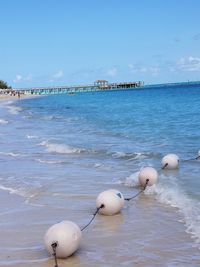 View of birds on beach against sky