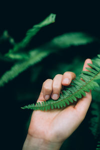 Close-up of person holding hands