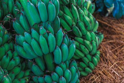 Close-up of green fruits for sale in market