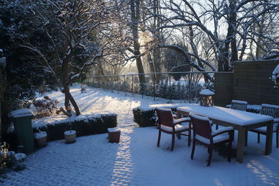 Empty bench in park