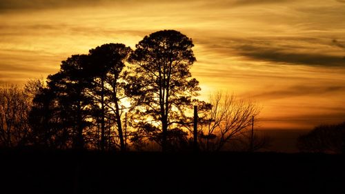 Silhouette trees against dramatic sky during sunset