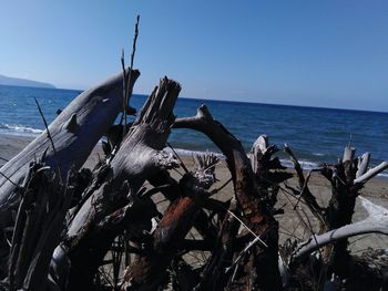 Driftwood on beach by sea against sky