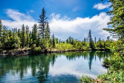 Scenic view of lake by trees against sky