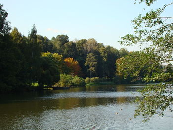 Scenic view of lake in forest against sky