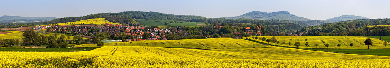 Scenic view of agricultural field against clear sky