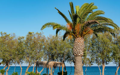 Mediterranean sea in horizon in the south on the island of kos greece