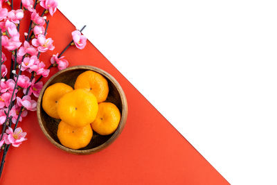 High angle view of fresh red chili pepper on white background