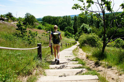 Rear view of female hiker moving down on steps against trees