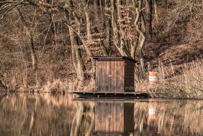 Wooden structure in lake by trees in forest