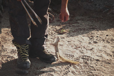 Low section of man standing on land with squirrel