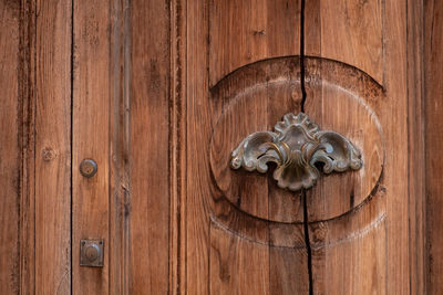 Close-up of cat on wooden door