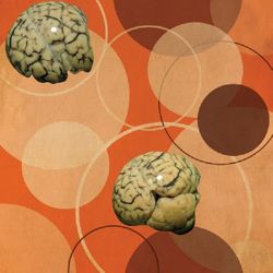 Full frame shot of vegetables