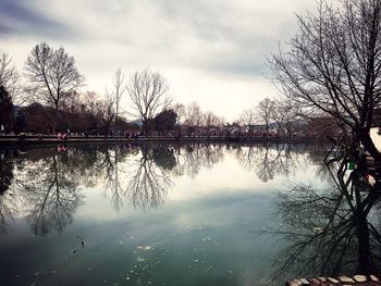 Reflection of trees in lake