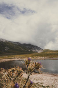 Scenic view of lake and mountains against sky