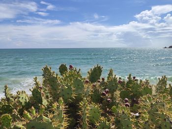 Scenic view of sea against sky