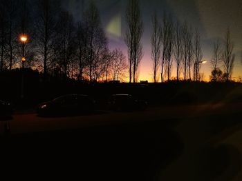 Silhouette trees against sky at night