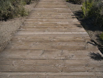 High angle view of boardwalk amidst plants