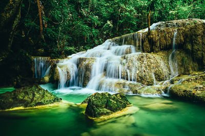 Scenic view of waterfall in forest