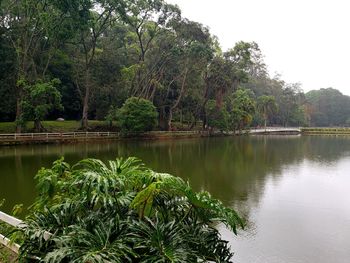 Scenic view of lake in forest against sky