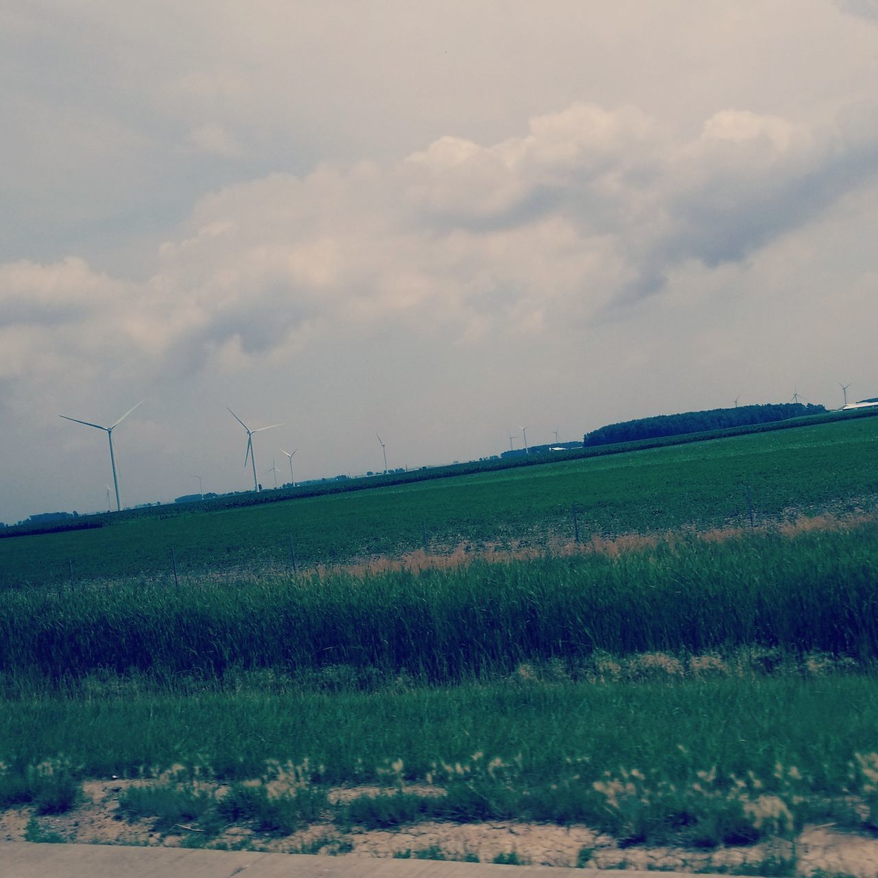 field, alternative energy, environmental conservation, wind power, wind turbine, nature, landscape, rural scene, agriculture, sky, fuel and power generation, renewable energy, tranquil scene, windmill, beauty in nature, tranquility, no people, day, outdoors, scenics, industrial windmill, cloud - sky, grass, green color