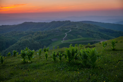 Beautiful sunset in the mountains. scenic view of agricultural field against sky during sunset.